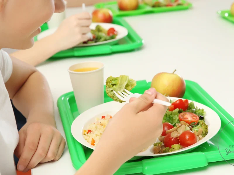 Çocuk, okul yemekhanesinde pilav, brokoli ve salata bulunan öğününden çatalıyla yemek yiyor